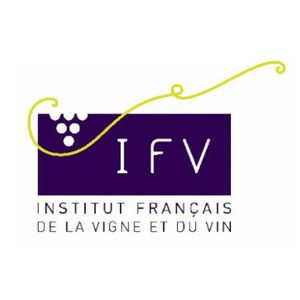 IFV_logo