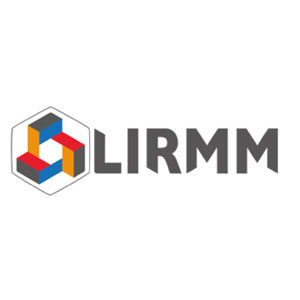 LRIMM_Logo