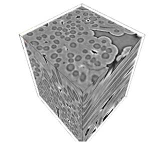 Motive research image