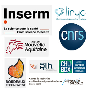 Institutional-regional-partners